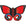 Nylon Butterfly Kite - Kitty Hawk Kites Online Store