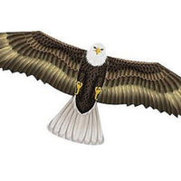 X-Kites 70" Eagle Kite - Kitty Hawk Kites Online Store