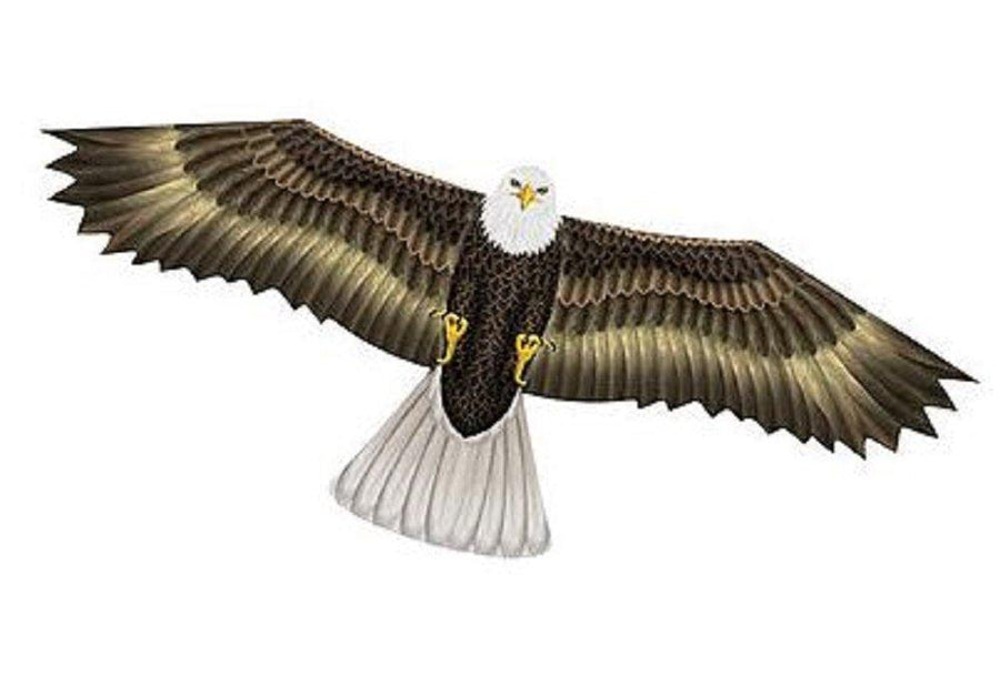 X-Kites 70" Eagle Kite - Kitty Hawk Kites Online Store