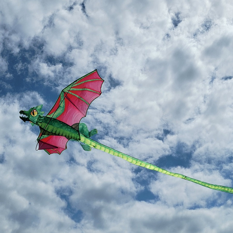 STORYBOOK 3D DRAGON KITE