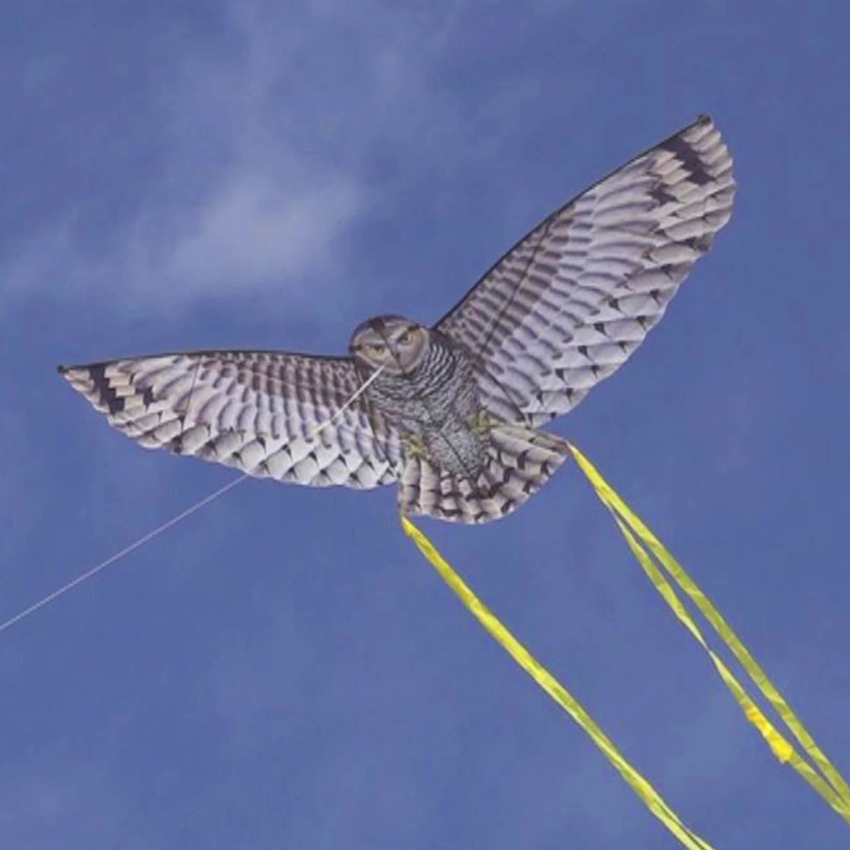 Birds Of Prey Supersize Owl Kite - Kitty Hawk Kites Online Store