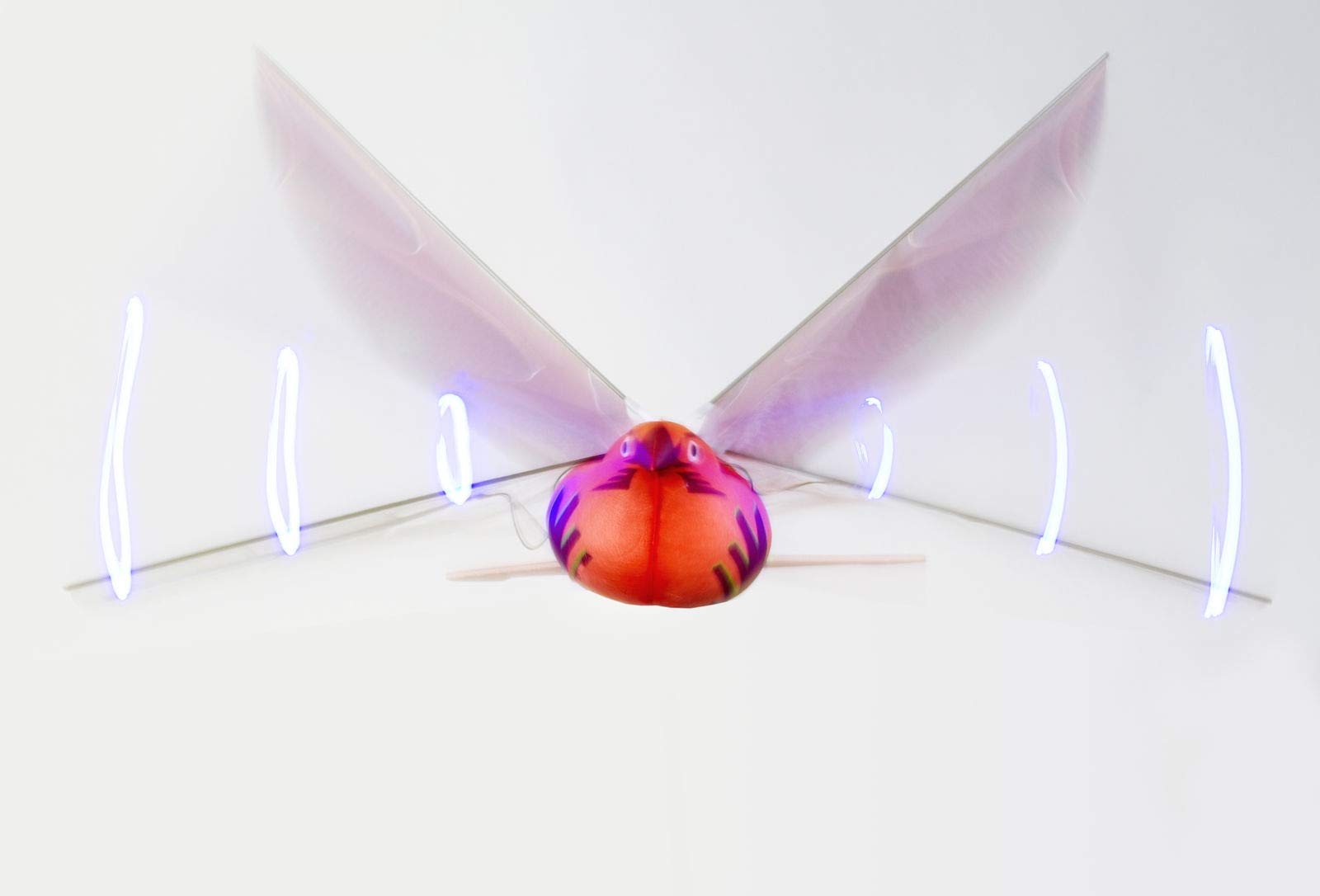 Dragon Hawk Light-Up Flying Bird - Kitty Hawk Kites Online Store