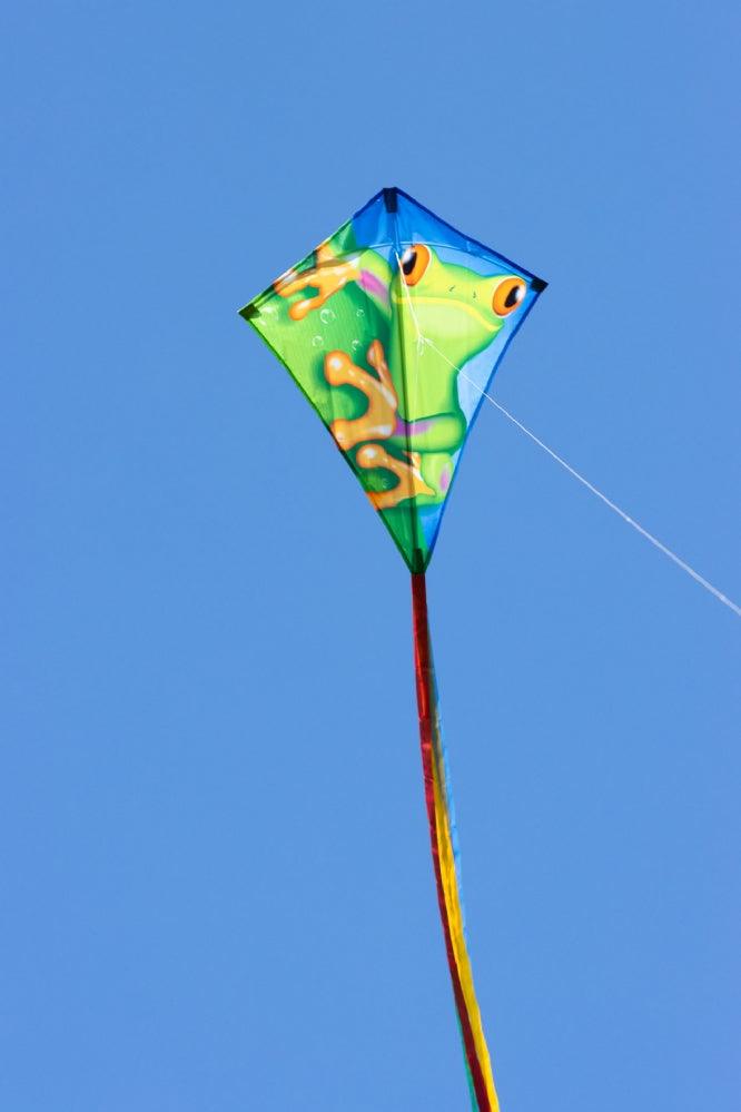 Ecoline Eddy Froggy 28in Diamond Kite - Kitty Hawk Kites Online Store