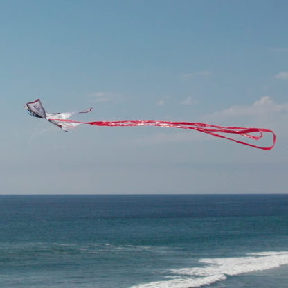 WindNSun Supersized Fighter Jet Nylon Kite w/ 3D Cockpit, 57 Inches Wide