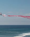 WindNSun Supersized Fighter Jet Nylon Kite w/ 3D Cockpit, 57 Inches Wide