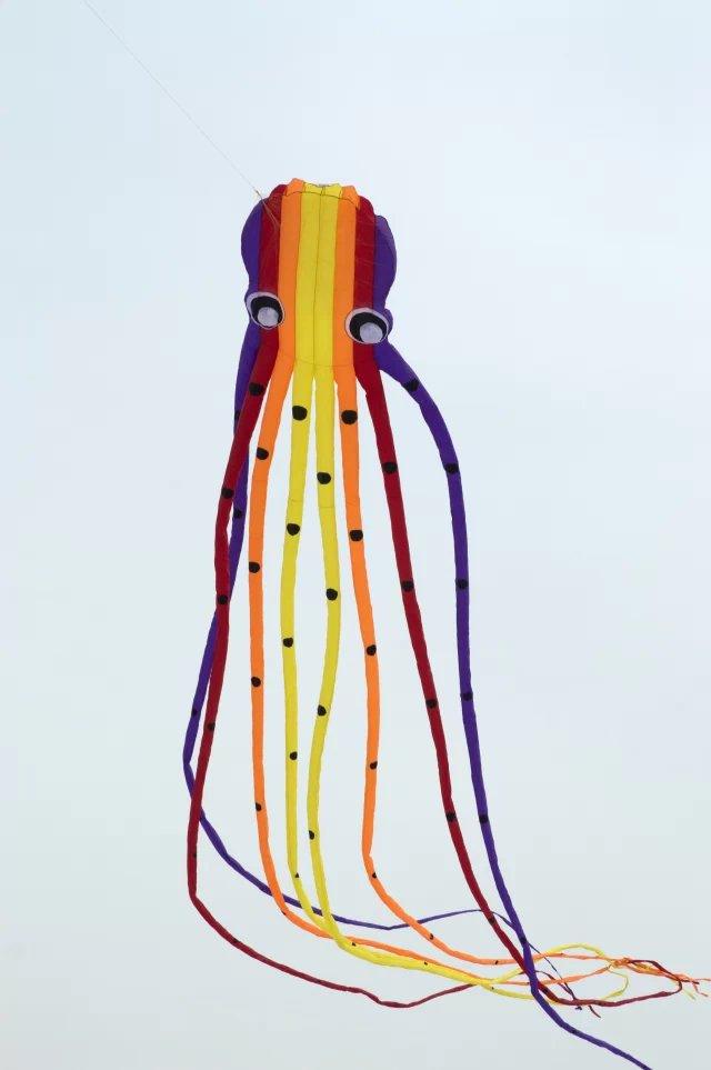 8m Octopus Inflatable Kite - Kitty Hawk Kites Online Store