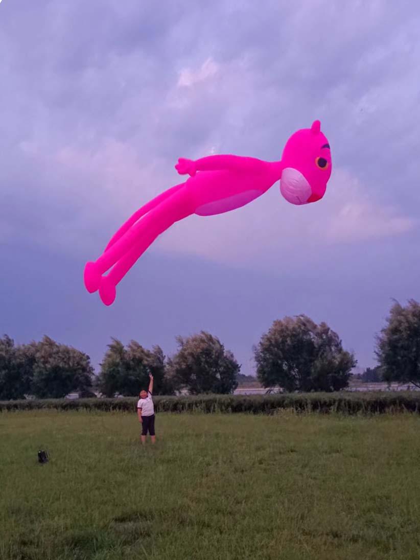 Big Rabbit Kite Giant Kites – Kitty Hawk Kites Online Store