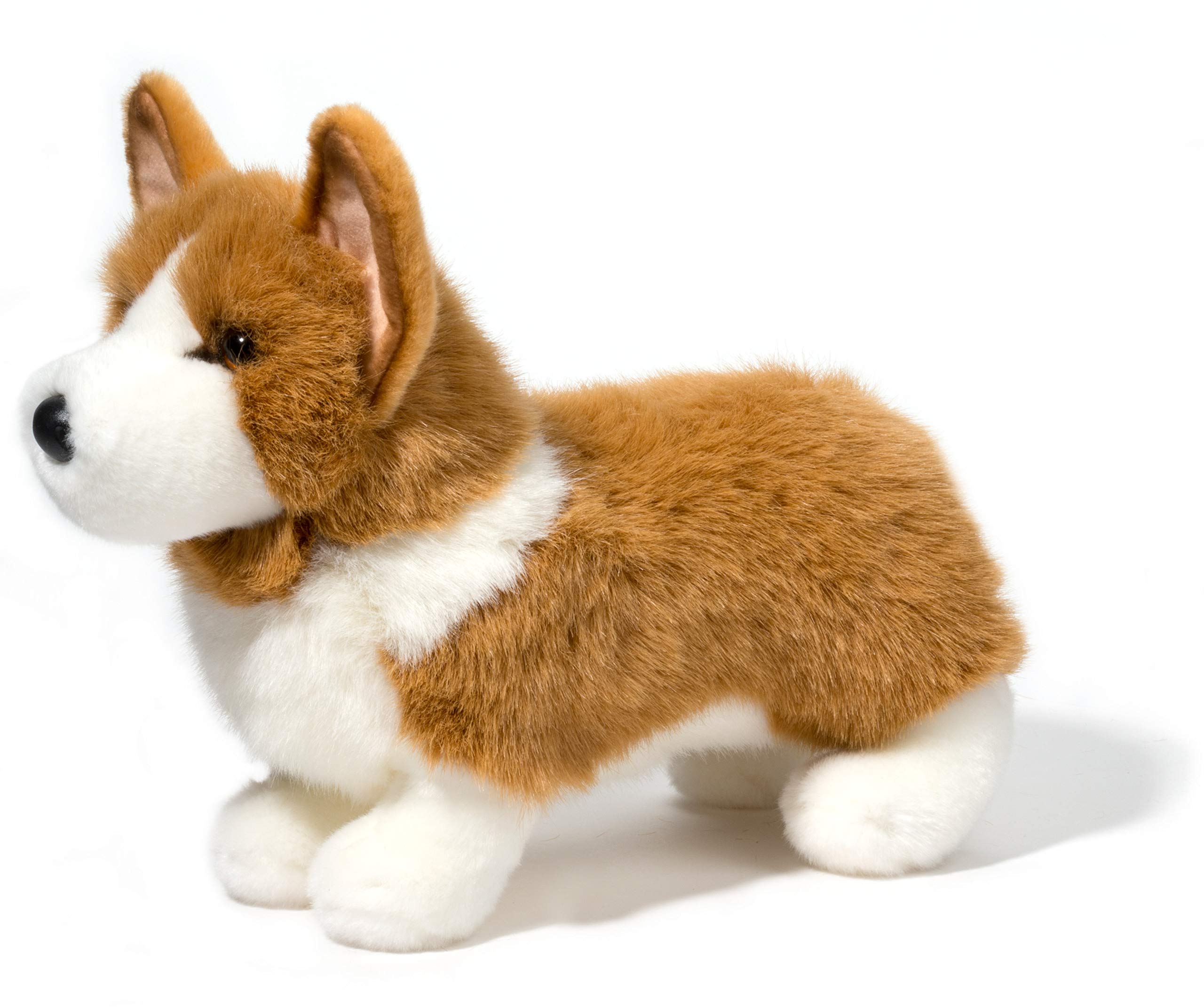 Ingrid The Corgi – Kitty Hawk Kites