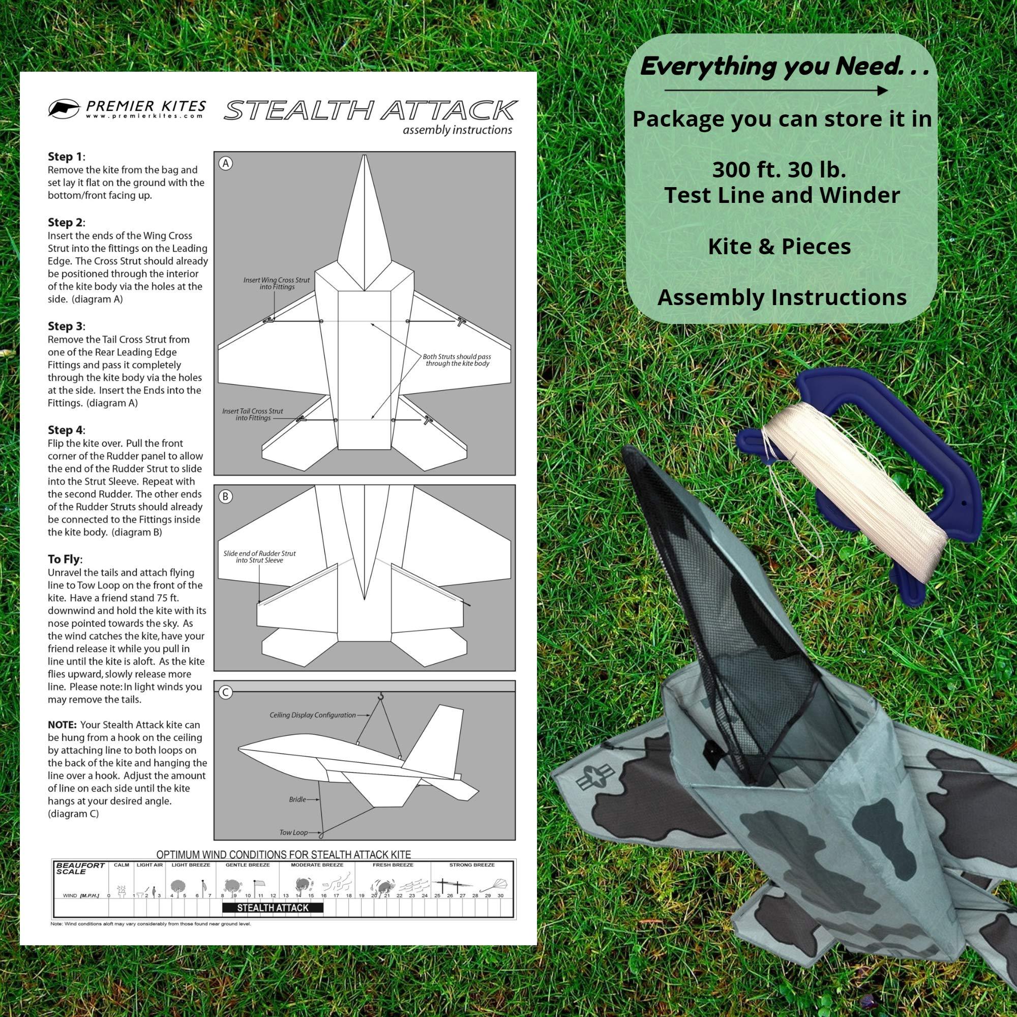 3D Jet Kite - Stealth - Kitty Hawk Kites Online Store