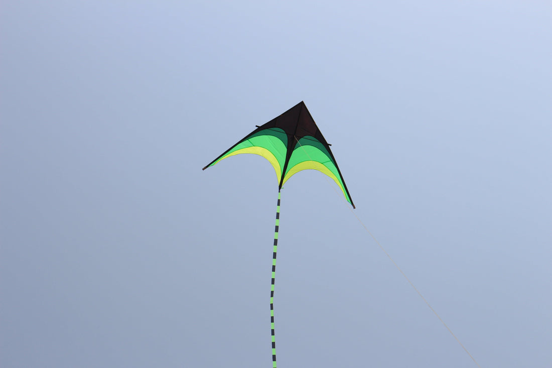 9ft Delta Kites - KHK Exclusives - Kitty Hawk Kites Online Store