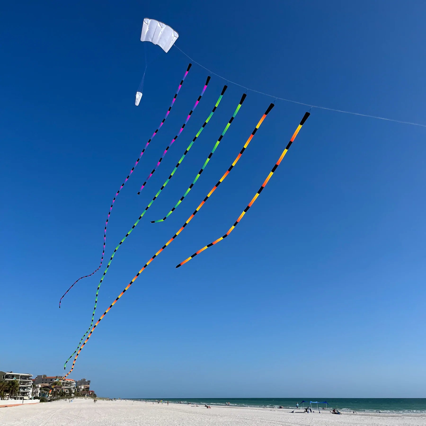 Prism 20ft Tube Tails - Signature Colors - Kitty Hawk Kites Online Store