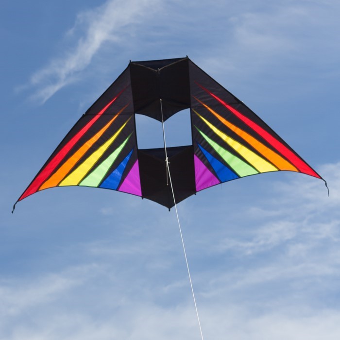 Kites for sale in Bowling Green, Kentucky