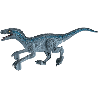 Odyssey Rapid Raptor - Kitty Hawk Kites Online Store