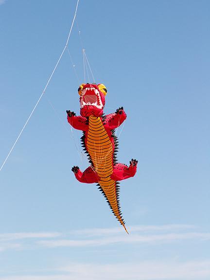 Giant Red Dragon Kite - Kitty Hawk Kites Online Store