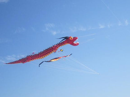 Giant Red Dragon Kite - Kitty Hawk Kites Online Store