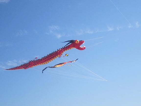 Giant Red Dragon Kite - Kitty Hawk Kites Online Store