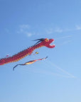 Giant Red Dragon Kite - Kitty Hawk Kites Online Store