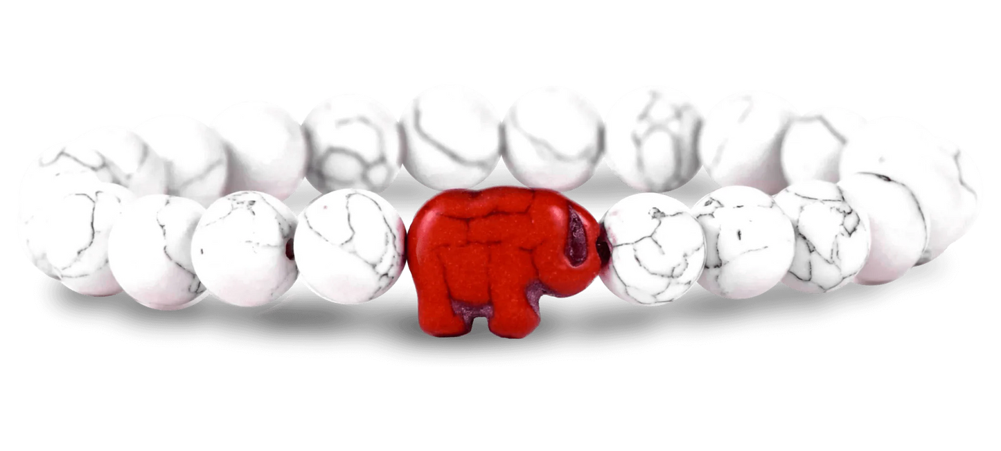 Fahlo The Expedition Bracelet - Kitty Hawk Kites Online Store