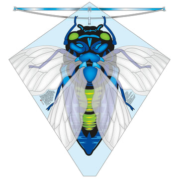 X Kites 27inch Cicada Kite - Kitty Hawk Kites Online Store