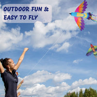 Paradise Bird Kite - Kitty Hawk Kites Online Store