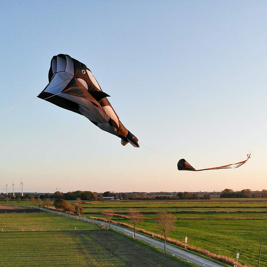 Orca Parafoil Kite