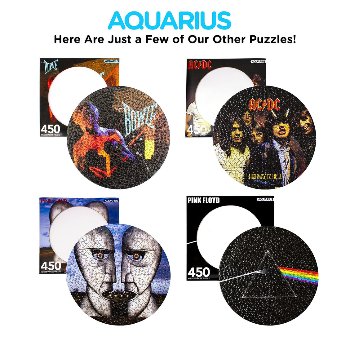 Pink Floyd Dark Side Record Disc Puzzle - 450 Piece Jigsaw Puzzle - Kitty Hawk Kites Online Store