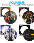 Pink Floyd Dark Side Record Disc Puzzle - 450 Piece Jigsaw Puzzle - Kitty Hawk Kites Online Store