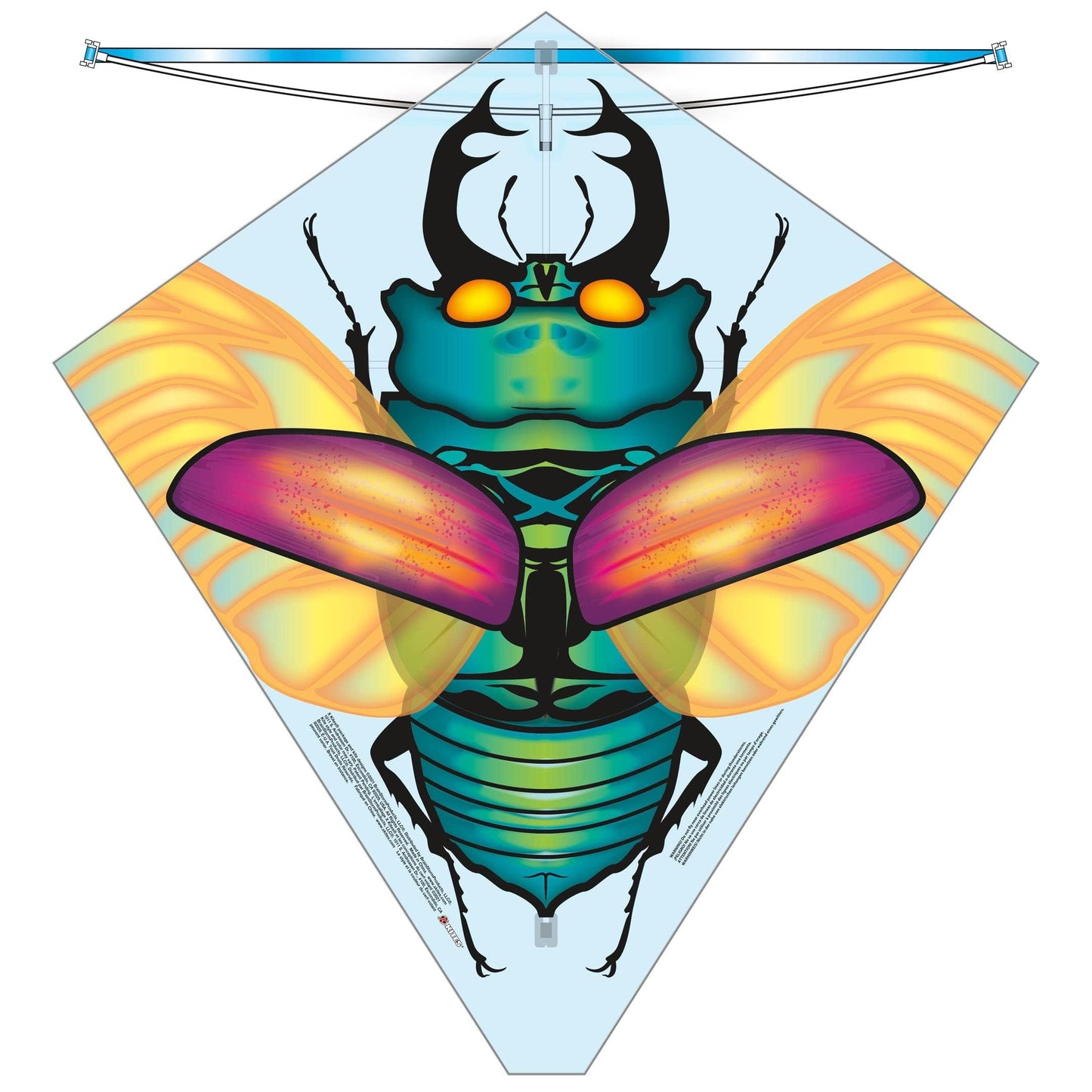 X Kites Beetle 27inch Kite - Kitty Hawk Kites Online Store