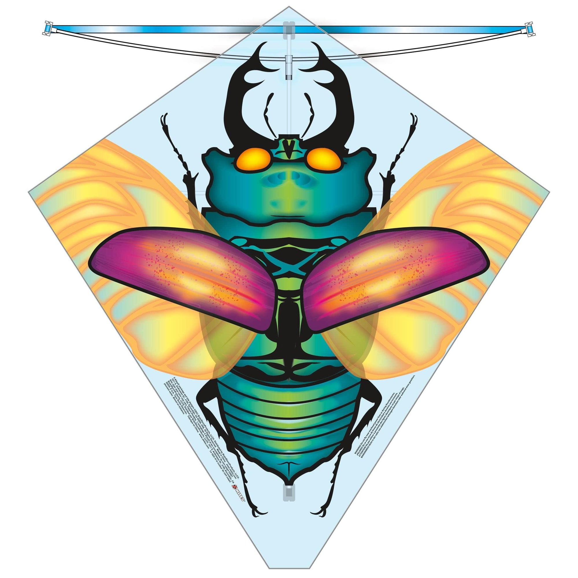 X Kites Beetle 27inch Kite - Kitty Hawk Kites Online Store