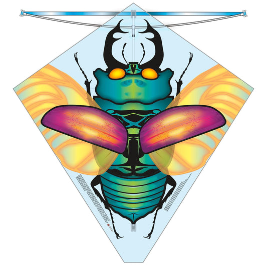 X Kites Beetle 27inch Kite - Kitty Hawk Kites Online Store