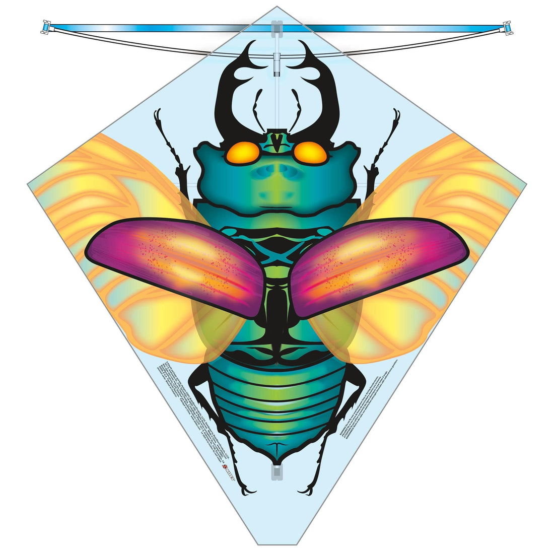 X Kites Beetle 27inch Kite - Kitty Hawk Kites Online Store