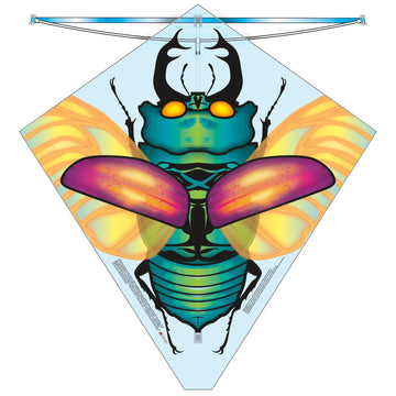 X Kites Beetle 27inch Kite - Kitty Hawk Kites Online Store