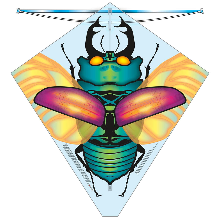 X Kites Beetle 27inch Kite - Kitty Hawk Kites Online Store