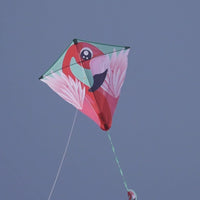 X Kites Rare Air Hang Glider Delta Kite - Kitty Hawk Kites Online Store