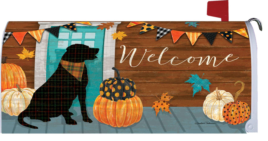 Fall Porch Mailbox Makeover - Kitty Hawk Kites Online Store