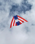 6ft Delta Conyne - Patriotic - Kitty Hawk Kites Online Store