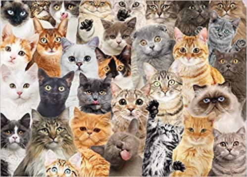 All The Cats 1000 Piece Jigsaw Puzzle - Kitty Hawk Kites Online Store