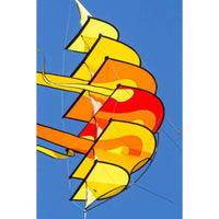 Hoffmann's Bowkite Sunrise - Kitty Hawk Kites Online Store