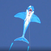 HQ Kites 6.5ft Dolphin Single Line Kite