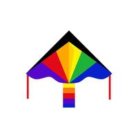Eco Line Simple Flyers - Rainbow Large Delta Kite - Kitty Hawk Kites Online Store