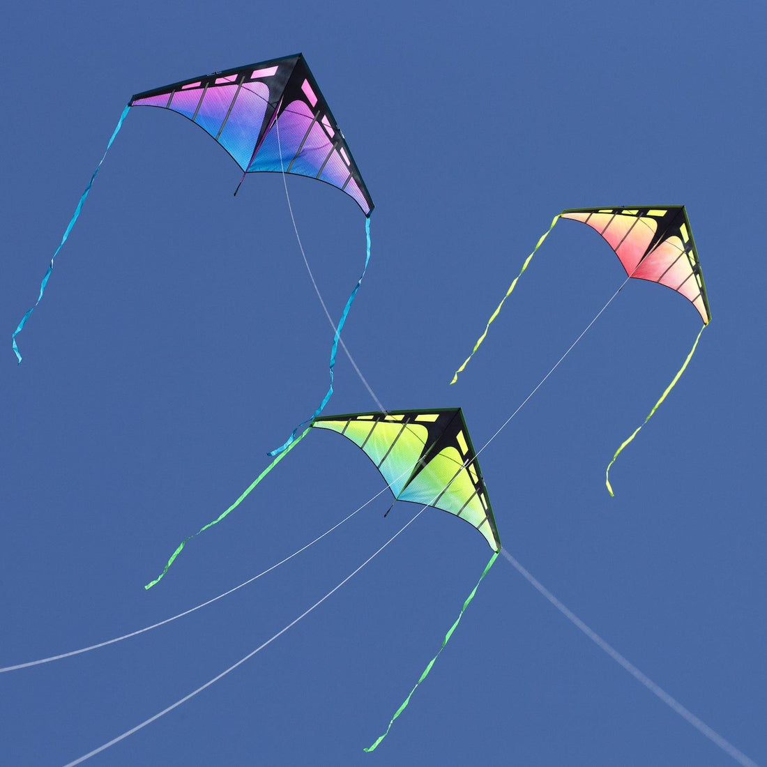 Prism Zenith 5 Single Line Delta Kite - Kitty Hawk Kites Online Store